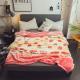 Thickened Double Layer Warm Coral Fleece Blanket