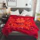 Thickened Double Layer Warm Coral Fleece Blanket