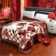 Thickened Double Layer Warm Coral Fleece Blanket