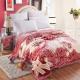 Thickened Double Layer Warm Coral Fleece Blanket