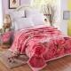 Thickened Double Layer Warm Coral Fleece Blanket
