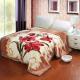 Thickened Double Layer Warm Coral Fleece Blanket