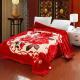 Thickened Double Layer Warm Coral Fleece Blanket