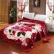 Thickened Double Layer Warm Coral Fleece Blanket