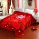 Thickened Double Layer Warm Coral Fleece Blanket