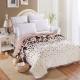 Thickened Double Layer Warm Coral Fleece Blanket