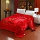 Thickened Double Layer Warm Coral Fleece Blanket