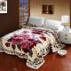 Thickened Double Layer Warm Coral Fleece Blanket