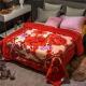 Thickened Double Layer Warm Coral Fleece Blanket