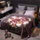 Thickened Double Layer Warm Coral Fleece Blanket