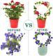 Pot Support Plant Climbing Frame Creative Flower Support Flower Arrangement Climbing Vine Flower
