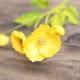Creative Colorful Silk Fabric Artificial Flowers