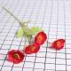 Creative Colorful Silk Fabric Artificial Flowers