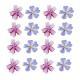 Cherry Blossom Dried Flower Ornament Accessories Bookmark Plant Specimen