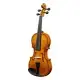 Brand New 1/4 Acoustic Violin With Hard Case,Violin Bow,Shoulder Rest,Rosin,Extra Strings And Sourdine