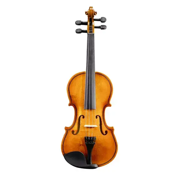 New 1/8 Acoustic Violin With Hard Case,Violin Bow,Shoulder Rest,Rosin,Extra Strings And Sourdine