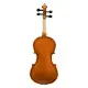 New 1/8 Acoustic Violin With Hard Case,Violin Bow,Shoulder Rest,Rosin,Extra Strings And Sourdine