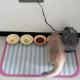 Diatomaceous Mud Pet Placemat For Cats And Dogs