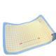 Diatomaceous Mud Pet Placemat For Cats And Dogs