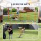 Dog Agility Training Equipment Adjustable Poles for Dog Agility Course with Carry Bag