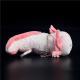 Hexagonal Dinosaur Plush Doll