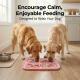 Dog Slow Feeder Bowl With Suction Cup To Prevent Choking And Encourage Slow Eating Mat