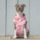 Pet Dog Washed Denim Jacket Clothes
