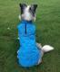Autumn And Winter Pet Clothes Double Color Checker