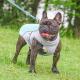 Summer Pet Outdoor Breathable Cooling Vest