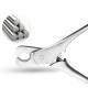 Pet High Density Fine Steel Nail Scissors