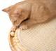 Solid Wood Cat Toy For Playful Pets