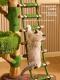 Cloud Ladder Solid Wood Cat Climbing Frame Cat Bed