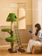 Cloud Ladder Solid Wood Cat Climbing Frame Cat Bed