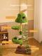Cloud Ladder Solid Wood Cat Climbing Frame Cat Bed