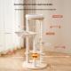 Personalized Integrated Cat House Climbing Frame