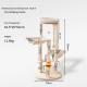 Personalized Integrated Cat House Climbing Frame