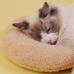 Little Pillow For Cats Fashion Neck Protector Deep Sleep Puppy U-Shaped Pillow Pets Pillow Kitten Headrest Dog Sleeping Pillow Pet Products