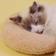 Little Pillow For Cats Fashion Neck Protector Deep Sleep Puppy U-Shaped Pillow Pets Pillow Kitten Headrest Dog Sleeping Pillow Pet Products