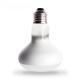 220V Pet Climbing Heating Turtle Lizard Day Light Heating Lamp