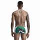 Beach Surfing  Shark Print Swimming Trunks