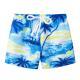 Childrens cartoon printed shorts