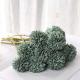 Flower Dandelion Chrysanthemum DIY Handmade Editing Home Decoration Photography Props Exclusive