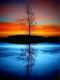 Digital Oil Painting Color Filling Frameless Decoration