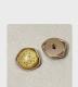 Gold Irregular Heterosexual Natural Shell Buttons