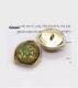 Gold Irregular Heterosexual Natural Shell Buttons