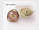 Gold Irregular Heterosexual Natural Shell Buttons