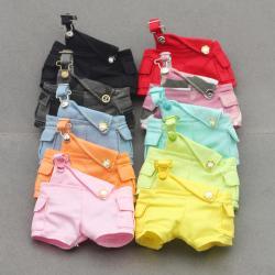 Automobiles Curtain Cloth Pendant Shoulder Pocket Suspender Pants
